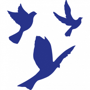 Soeur de la Croix - Colombes